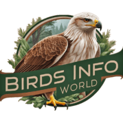 Birds info world logo